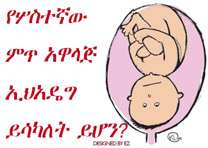 የሦስተኛው ምጥ አዋላጅ ኢህአዴግ ይሳካለት ይሆን?