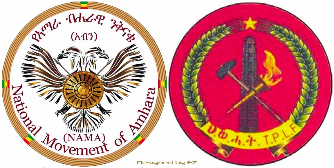 NAMN and TPLF