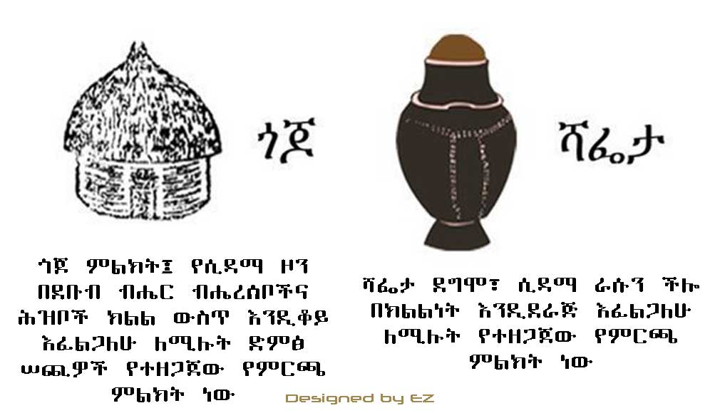 ሻፌታን 98.51 በመቶ ሕዝብ ሲመርጥ፣ 1.48 በመቶው ደግሞ ጎጆ ቤትን መርጧል