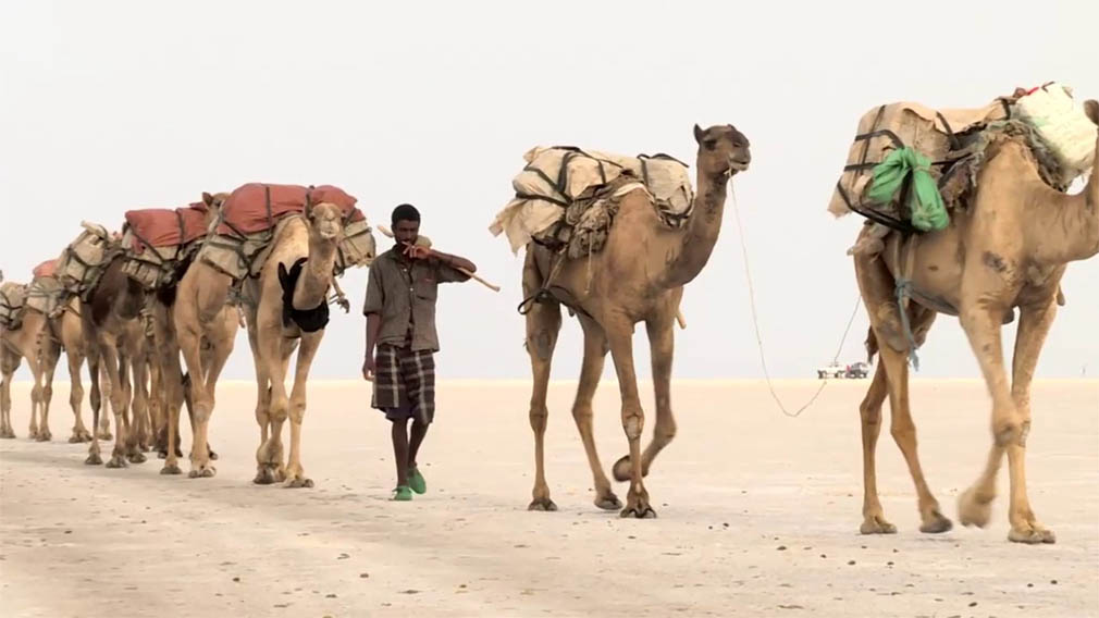 ሶማሌ እና አፋር