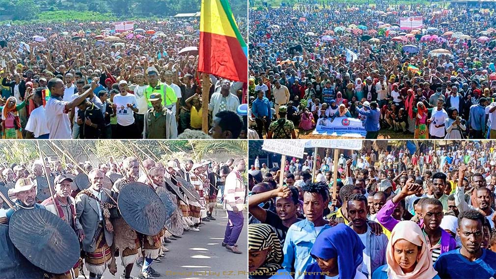 በተለያዩ የአገሪቱ ክልሎች ጁንታውን በመቃወም ዛሬ ሐሙስ ኅዳር 3 ቀን 2013 ዓ.ም. የተካሔዱ ሰልፎች