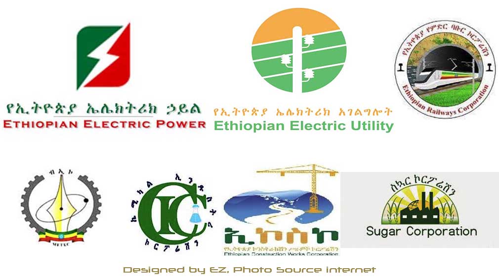 የኢትዮጵያ ኤሌክትሪክ ኃይል፣ የኢትዮጵያ ኤሌክትሪክ አገልግሎት፣ የኢትዮጵያ ምድር ባቡር ኮርፖሬሽን፣ ሜቴክ (አሁን ኢትዮ-ኢንጂነሪንግ ግሩፕ)፣ ኬሚካል ኢንዱስትሪ ኮርፖሬሽን፣ የኮንስትራክሽን ሥራዎች ኮርፖሬሽን እና የስኳር ኮርፖሬሽን