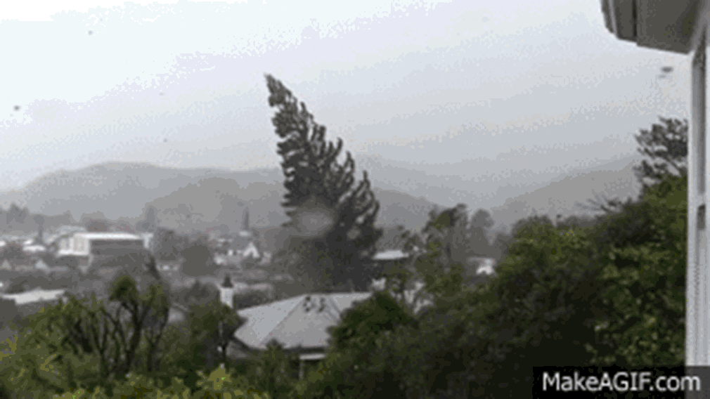 Wind
