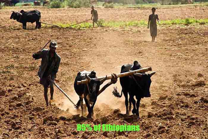 The real and undeniable statistics on Ethiopia Ethiopia poor