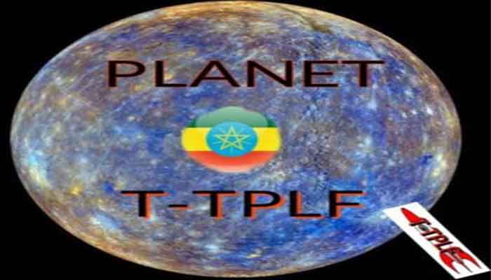 T-TPLF