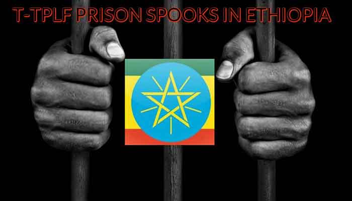 T-TPLF Soopks