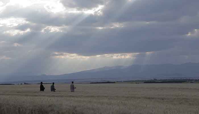 Ethiopian farmers